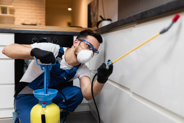 Best Pest Control Near Me  in Duluth, GA