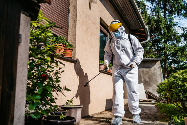 Best Insect Control  in Duluth, GA