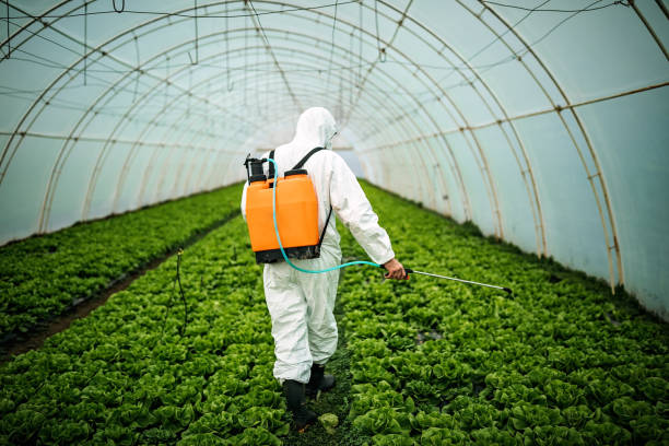 Best Mosquito Control Services  in Duluth, GA