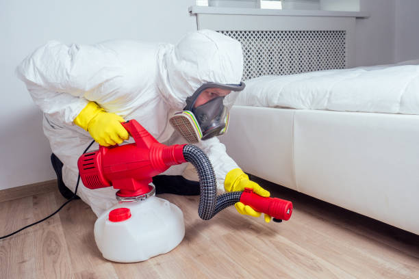 Best Bed Bug Extermination  in Duluth, GA
